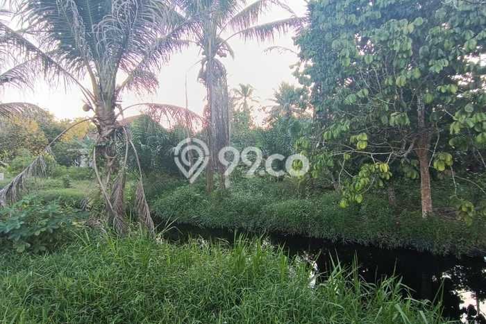 Jarang Ada! Tanah di Sungai Raya Punya Luas 1536m2 SHM Jarang Ada! Tanah di Sungai Raya Punya Luas 1536m2 SHM