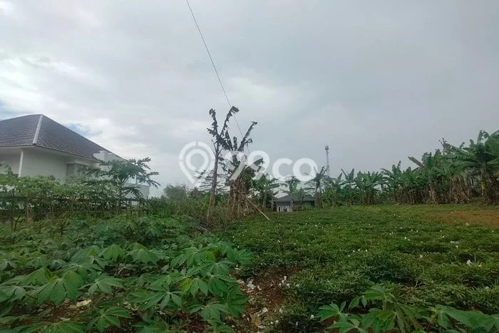Kavling Tanah Dijual di Cikole Sukabumi Spesifikasi 1360m2 Kavling Tanah Dijual di Cikole Sukabumi Spesifikasi 1360m2