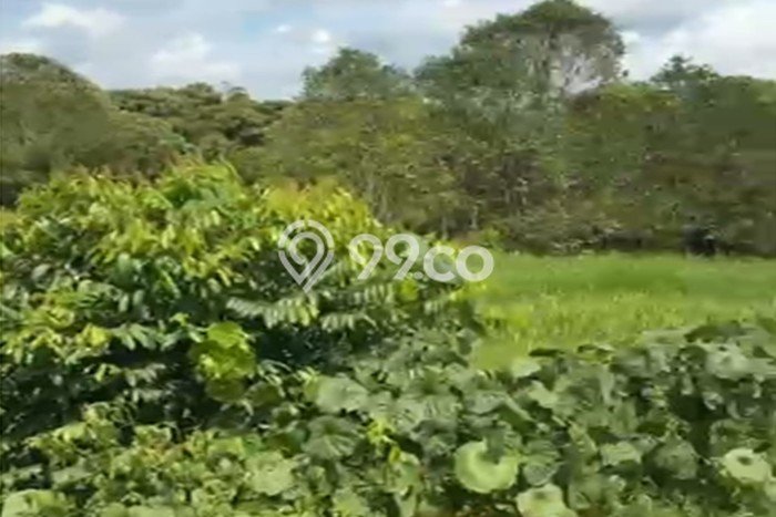 Tanah Dijual di Kutai Kartanegara Seluas 23000m2 Strategis Tanah Dijual di Kutai Kartanegara Seluas 23000m2 Strategis