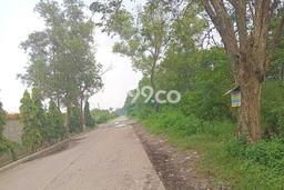 Kavling Tanah di Cikande Dijual Luas 28000m2 Legalitas SHM Kavling Tanah di Cikande Dijual Luas 28000m2 Legalitas SHM