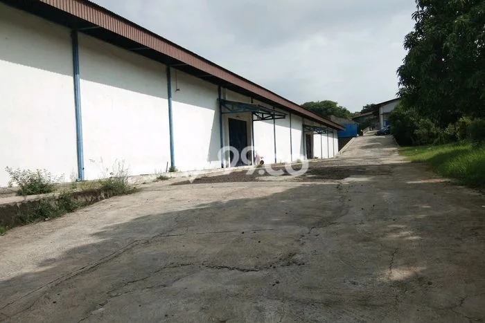 Gudang disewakan lokasi strategis Tugu Semarang 1000m2 Gudang disewakan lokasi strategis Tugu Semarang 1000m2