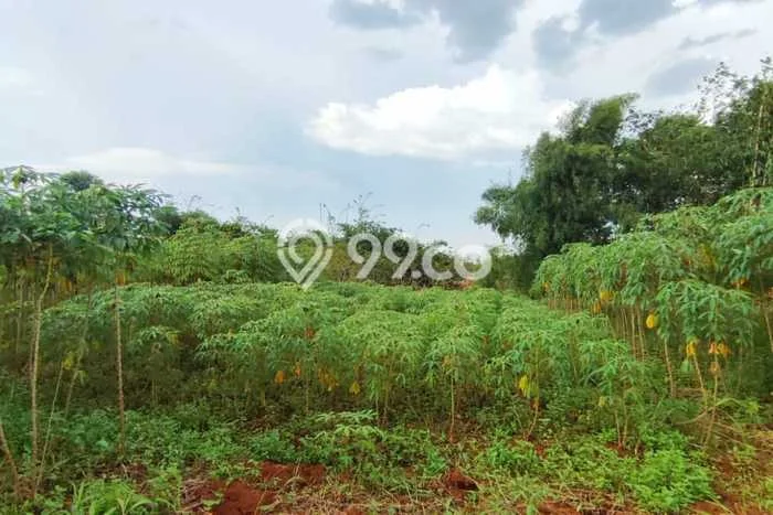 Tanah untuk Dijual Lokasi Sawangan, Depok Luas 5000m2 SHM Tanah untuk Dijual Lokasi Sawangan, Depok Luas 5000m2 SHM
