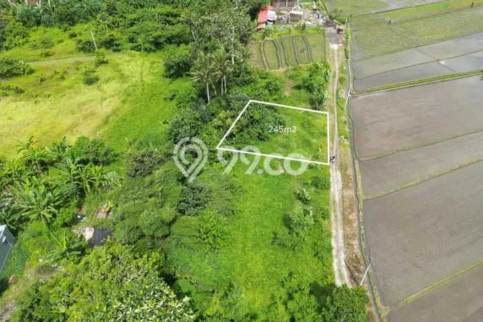 Tanah Dijual Area Strategis di Nyitdah Tabanan 245m2 Tanah Dijual Area Strategis di Nyitdah Tabanan 245m2