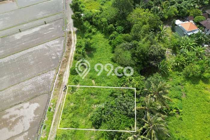 Tanah Dijual Area Strategis di Nyitdah Tabanan 245m2 Tanah Dijual Area Strategis di Nyitdah Tabanan 245m2