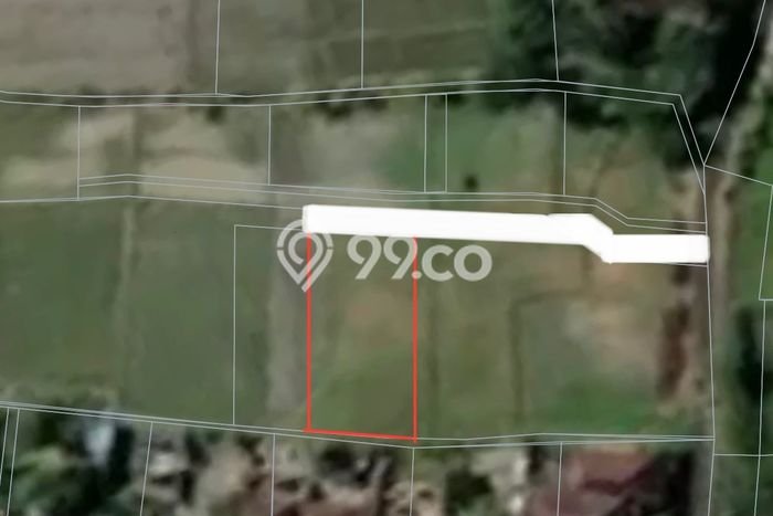 Tanah Dijual Lokasi Buwit, Tabanan Luas 300m2 Legalitas Aman Tanah Dijual Lokasi Buwit, Tabanan Luas 300m2 Legalitas Aman