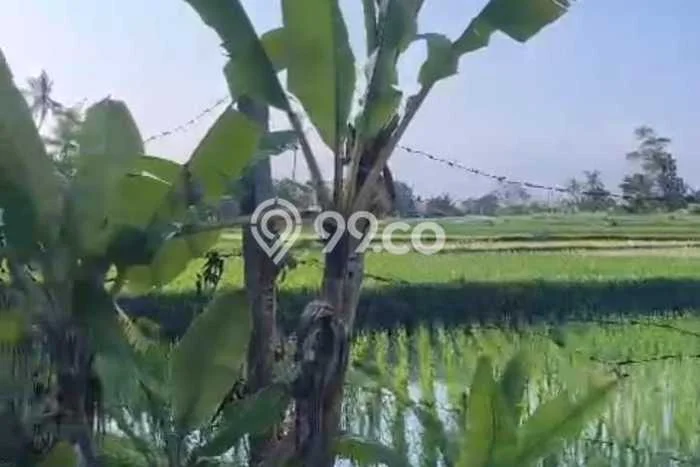 Tanah Strategis Kawasan Kediri, Luas 510m², Cocok untuk Perumahan Tanah Strategis Kawasan Kediri, Luas 510m², Cocok untuk Perumahan