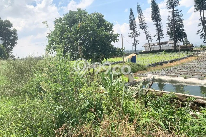 Tanah untuk Dijual Lokasi Parongpong, Bandung Barat Luas 3670m2 SHM Tanah untuk Dijual Lokasi Parongpong, Bandung Barat Luas 3670m2 SHM