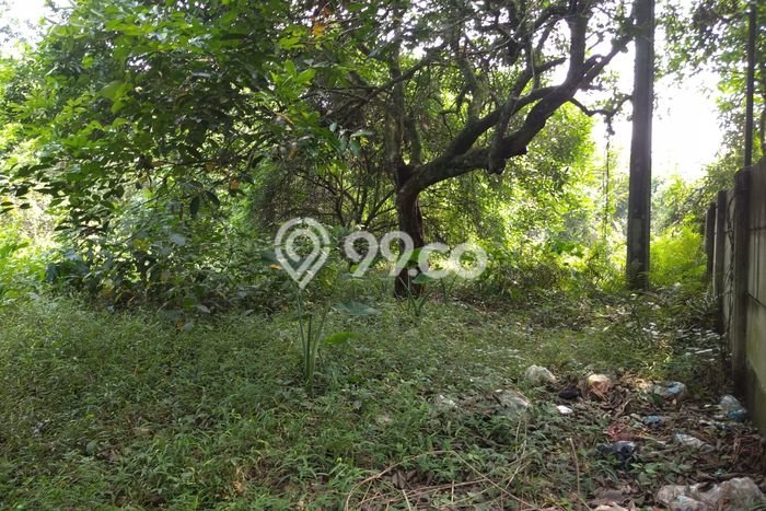 Untuk Dijual Tanah di Setu Bekasi Luas 4800m2 SHM Untuk Dijual Tanah di Setu Bekasi Luas 4800m2 SHM