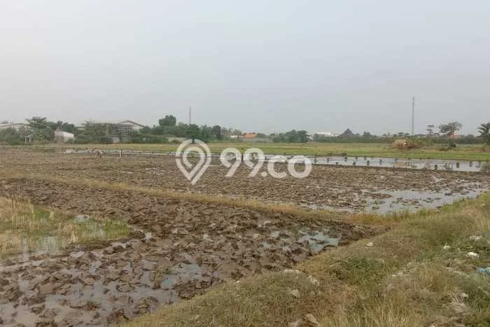 Lahan Investasi Lokasi Kramat Tegal SHM Lahan Investasi Lokasi Kramat Tegal SHM