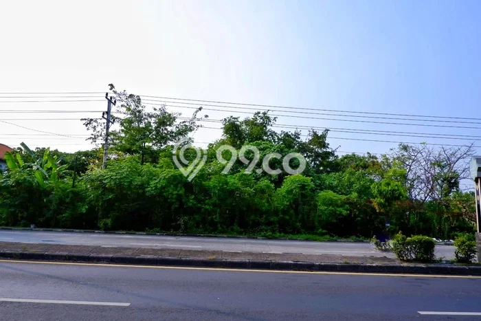 Kavling Tanah di Margadana Dijual Luas 19000m2 Legalitas SHM Kavling Tanah di Margadana Dijual Luas 19000m2 Legalitas SHM