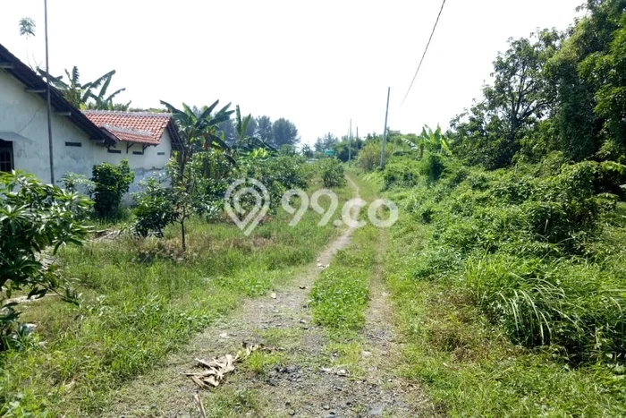 Tanah Kavling untuk Dijual di Warureja Tegal 11379m2 Tanah Kavling untuk Dijual di Warureja Tegal 11379m2
