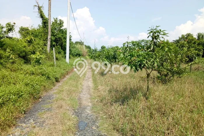 Tanah Kavling untuk Dijual di Warureja Tegal 11379m2 Tanah Kavling untuk Dijual di Warureja Tegal 11379m2