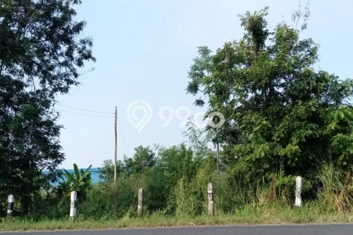 Tanah Strategis Dijual di Lebaksiu Tegal 1106m2 Tanah Strategis Dijual di Lebaksiu Tegal 1106m2