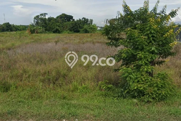 Tanah Dijual Lokasi Kramat, Tegal Luas 6802m2 Legalitas Aman Tanah Dijual Lokasi Kramat, Tegal Luas 6802m2 Legalitas Aman