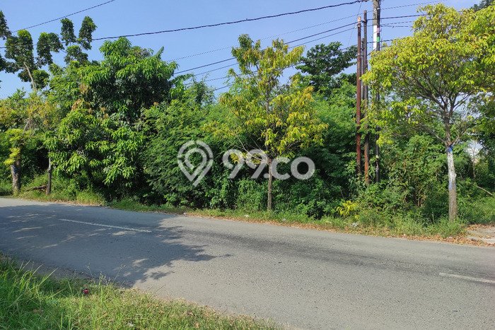 Lahan untuk Dijual Lokasi Tegal Barat, Tegal Luas 250m2 SHM Lahan untuk Dijual Lokasi Tegal Barat, Tegal Luas 250m2 SHM