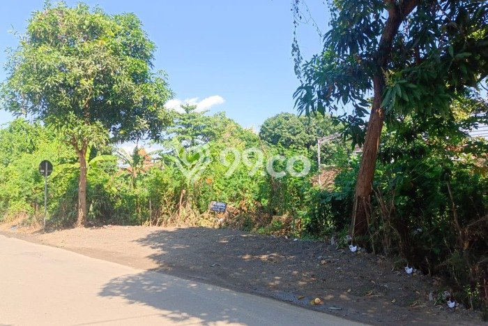 Lahan untuk Dijual Lokasi Tegal Barat, Tegal Luas 1245m2 SHM Lahan untuk Dijual Lokasi Tegal Barat, Tegal Luas 1245m2 SHM
