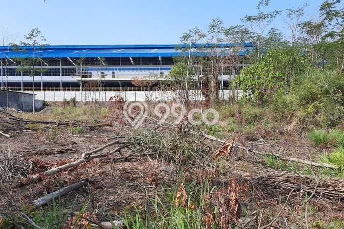 Tanah Strategis Dijual di Lebaksiu Tegal 1106m2 Tanah Strategis Dijual di Lebaksiu Tegal 1106m2