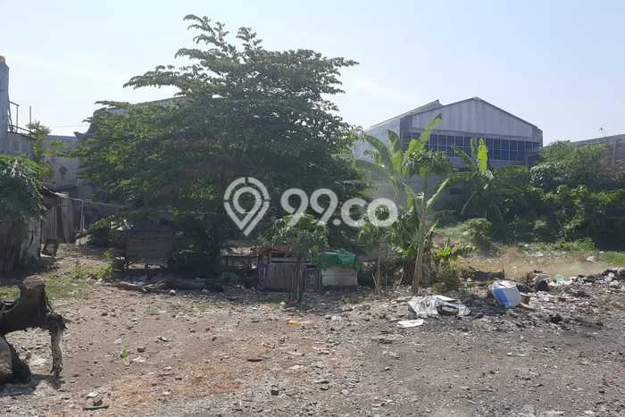 Tanah Dijual Lokasi Adiwerna, Tegal Luas 2630m2 Legalitas Aman Tanah Dijual Lokasi Adiwerna, Tegal Luas 2630m2 Legalitas Aman