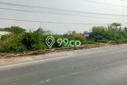 Tanah Strategis Dijual di Wiradesa Pekalongan 1705m2 Tanah Strategis Dijual di Wiradesa Pekalongan 1705m2