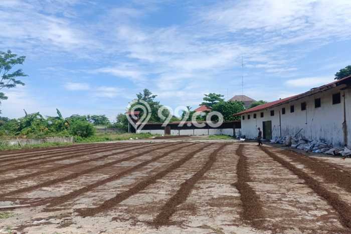 Lahan Dijual Lokasi Bandar, Batang dengan Luas Tanah 9115m2 dan Status SHM Lahan Dijual Lokasi Bandar, Batang dengan Luas Tanah 9115m2 dan Status SHM