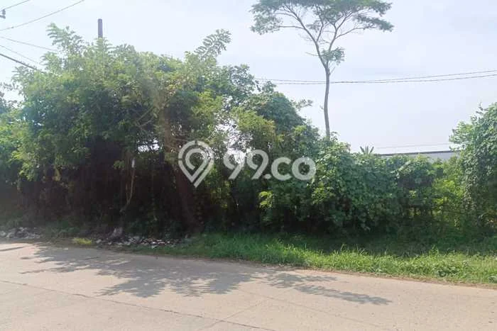 Tanah di Batang, Batang Luas 1895m2 Dijual Segera Tanah di Batang, Batang Luas 1895m2 Dijual Segera