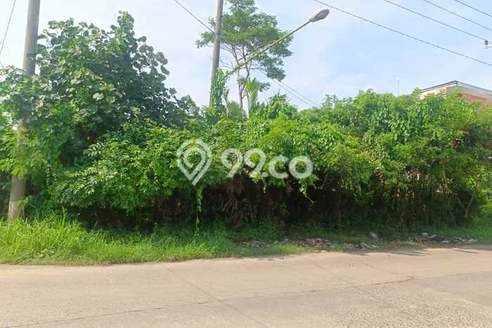 Tanah di Batang, Batang Luas 1895m2 Dijual Segera Tanah di Batang, Batang Luas 1895m2 Dijual Segera