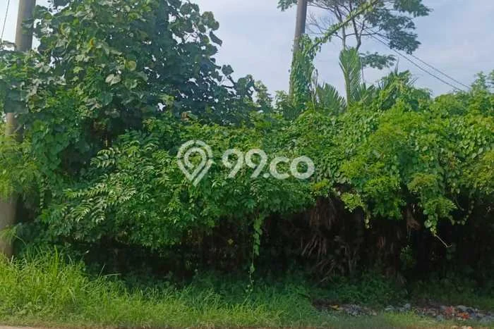 Tanah di Batang, Batang Luas 1895m2 Dijual Segera Tanah di Batang, Batang Luas 1895m2 Dijual Segera