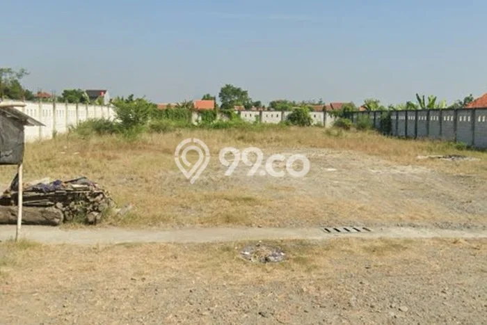 Tanah Disewa di Tarub Tegal dengan Luas 2170m2 Tanah Disewa di Tarub Tegal dengan Luas 2170m2