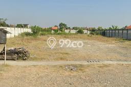 Tanah Komersial Disewakan di Tarub Tegal Seluas 2170m2 Tanah Komersial Disewakan di Tarub Tegal Seluas 2170m2