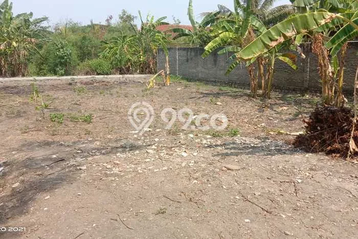 Tanah di Dukuhturi, Tegal Luas 239m2 Dijual Segera Tanah di Dukuhturi, Tegal Luas 239m2 Dijual Segera