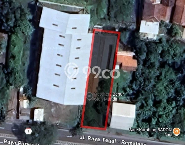 Lahan Investasi Lokasi Suradadi Tegal SHM Lahan Investasi Lokasi Suradadi Tegal SHM