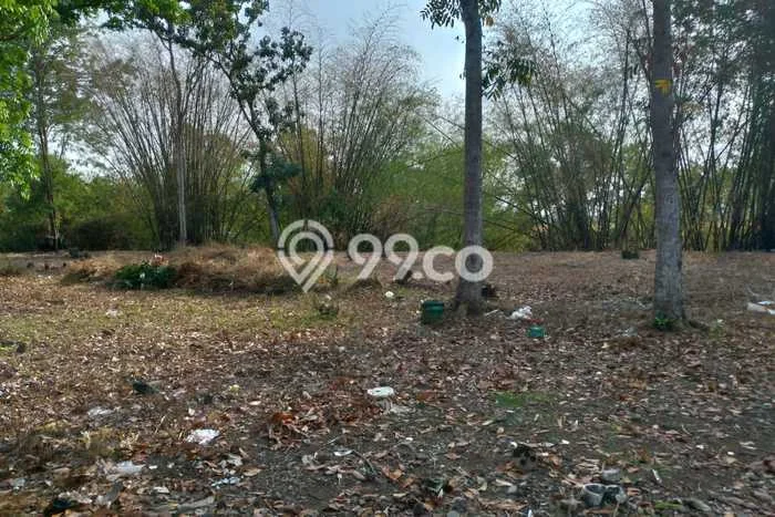Kavling Tanah Dijual di Dukuhwaru, Tegal, Luas 2000m2 Area Strategis Kavling Tanah Dijual di Dukuhwaru, Tegal, Luas 2000m2 Area Strategis