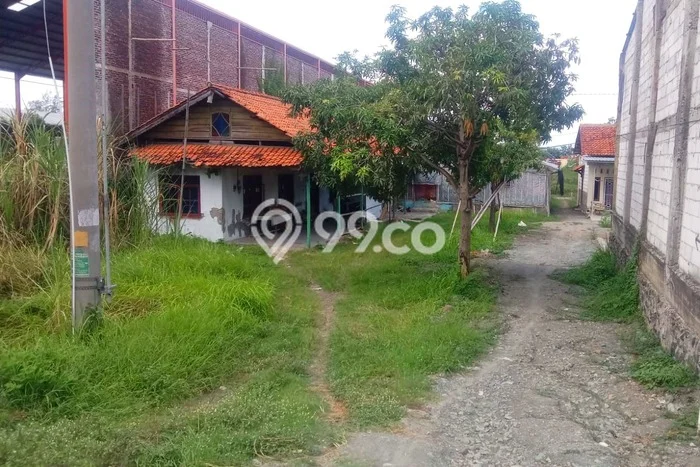 Lahan Investasi Lokasi Suradadi Tegal SHM Lahan Investasi Lokasi Suradadi Tegal SHM
