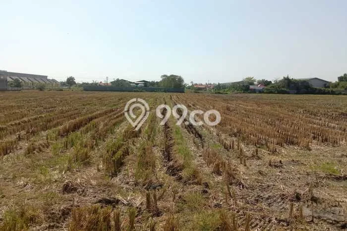 Lahan Investasi Lokasi Kramat Tegal SHM Lahan Investasi Lokasi Kramat Tegal SHM