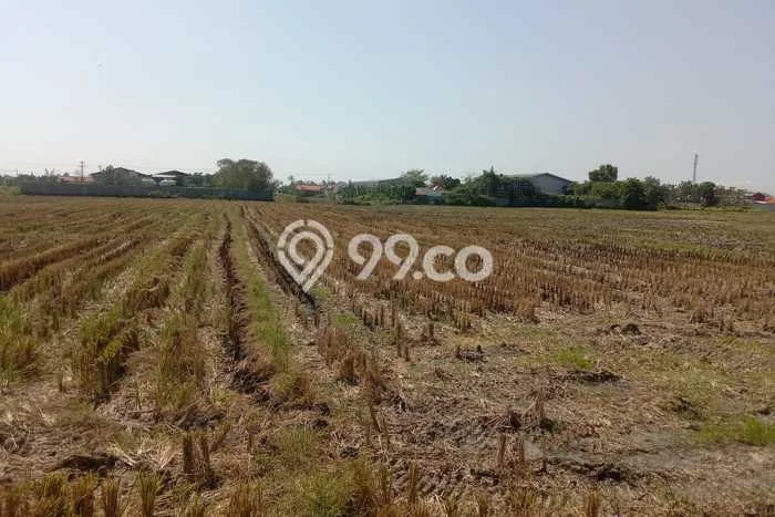 Lahan Investasi Lokasi Kramat Tegal SHM Lahan Investasi Lokasi Kramat Tegal SHM