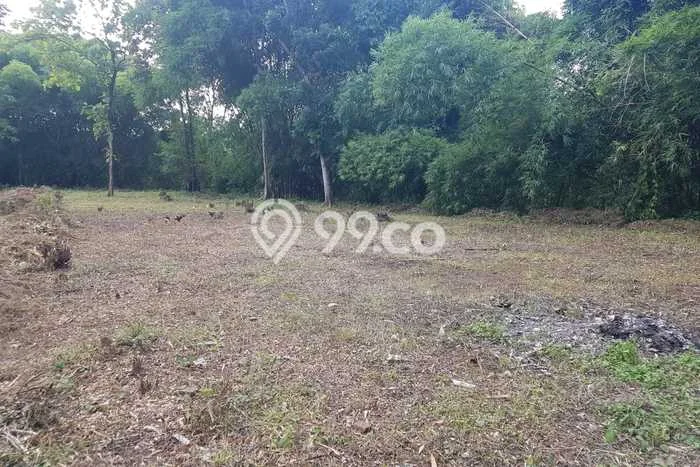 Kavling Tanah Dijual di Dukuhwaru, Tegal, Luas 2000m2 Area Strategis Kavling Tanah Dijual di Dukuhwaru, Tegal, Luas 2000m2 Area Strategis