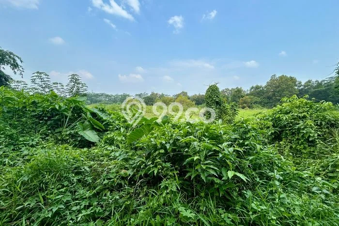 Tanah Kavling Dijual di Bekasi dengan Spesifikasi 21800m2 Tanah Kavling Dijual di Bekasi dengan Spesifikasi 21800m2