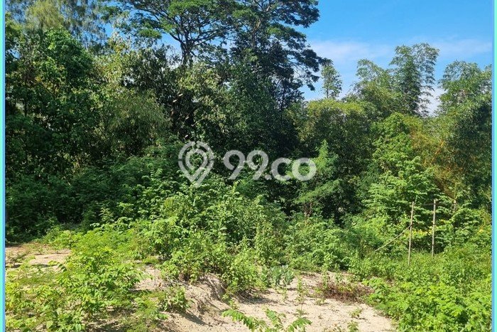 Tanah Dijual Lokasi Jetis, Bantul Luas 140m2 Legalitas Aman Tanah Dijual Lokasi Jetis, Bantul Luas 140m2 Legalitas Aman