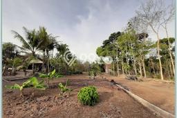 Dijual Tanah Area Berkembang di Godean, Luas 120m², Area Asri Dijual Tanah Area Berkembang di Godean, Luas 120m², Area Asri