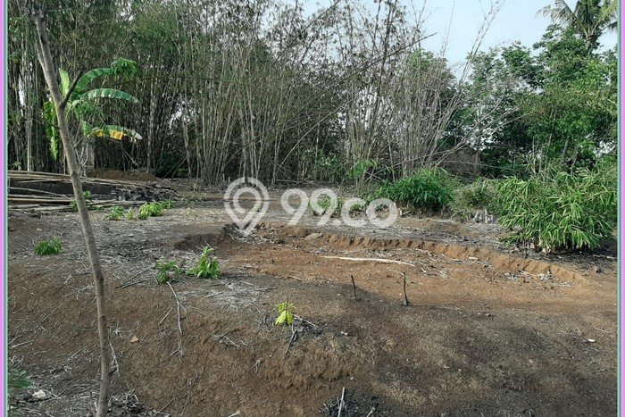 Tanah Kavling untuk Dijual di Godean Sleman 130m2 Tanah Kavling untuk Dijual di Godean Sleman 130m2