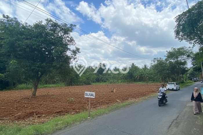Tanah Dijual Area Strategis di Kulonprogo Yogyakarta 258m2 Tanah Dijual Area Strategis di Kulonprogo Yogyakarta 258m2