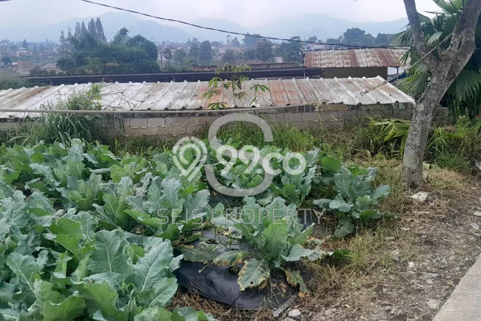 Kavling Tanah Dijual di Lembang Bandung Barat Spesifikasi 2881m2 Kavling Tanah Dijual di Lembang Bandung Barat Spesifikasi 2881m2