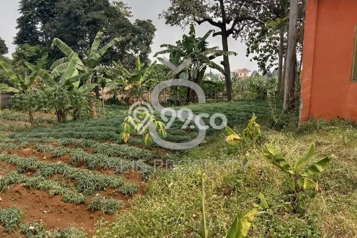 Tanah Kavling untuk Dijual di Padalarang Bandung Barat 363m2 Tanah Kavling untuk Dijual di Padalarang Bandung Barat 363m2