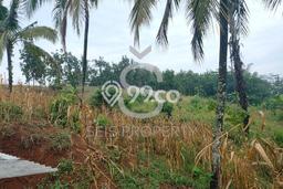 Tanah Kavling Dijual di Bandung dengan Spesifikasi 15000m2 Tanah Kavling Dijual di Bandung dengan Spesifikasi 15000m2