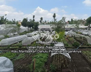 Jarang Ada! Tanah di Parongpong Punya Luas 3122m2 SHM Jarang Ada! Tanah di Parongpong Punya Luas 3122m2 SHM