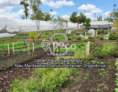 Jarang Ada! Tanah di Parongpong Punya Luas 3122m2 SHM Jarang Ada! Tanah di Parongpong Punya Luas 3122m2 SHM