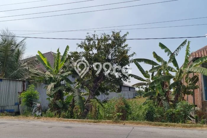 Dijual Tanah di Mojokerto, Luas 1000m2 SHM Dijual Tanah di Mojokerto, Luas 1000m2 SHM