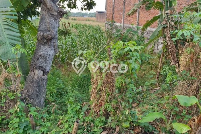 Dijual Tanah di Mojokerto, Luas 1000m2 SHM Dijual Tanah di Mojokerto, Luas 1000m2 SHM