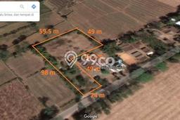 Untuk Dijual Tanah di Bondowoso, Luas 3871m2 - Untuk Dijual Tanah di Bondowoso, Luas 3871m2 -