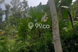 Tanah Komersial Dijual di Pandaan Pasuruan 26000m2 Tanah Komersial Dijual di Pandaan Pasuruan 26000m2